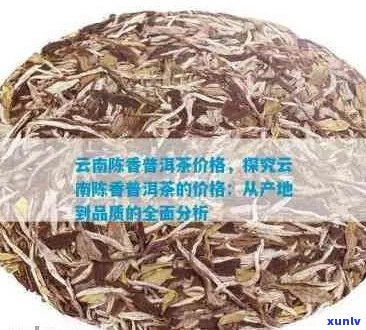 原云堂普洱茶2013妙春：探究这款茶的品质与价格，了解产地文化。