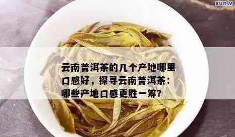 云源号普洱茶：品种、产地、 *** 工艺、口感与功效全方位解析