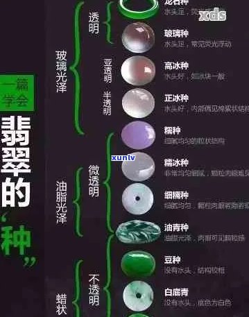 全面解析翡翠薄水料的使用效果与优缺点，助您做出明智选择