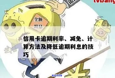 信用卡逾期利率调整：如何降低还款压力？