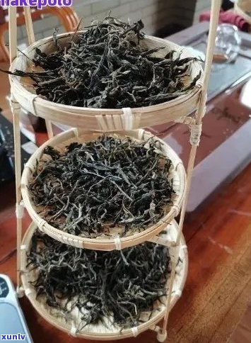 从采摘到冲泡：全面了解普洱茶的 *** 工艺与品鉴技巧