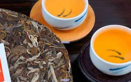 普洱茶专卖店：全方位了解普洱茶，挑选适合您的茶叶与品饮 *** 指南