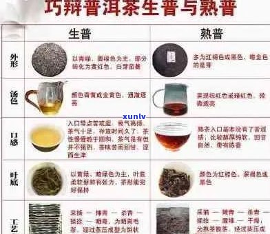 普洱茶专卖店：全方位了解普洱茶，挑选适合您的茶叶与品饮 *** 指南