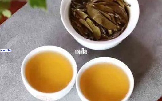 普洱茶为什么有青味和黄味：探究普洱茶两种风味的成因与区别