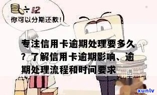 如何查询信用卡逾期进度并采取补救措？了解完整的步骤和注意事项