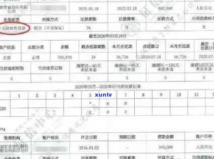 信用卡逾期记录查询：如何查看您的信用历和逾期详情？