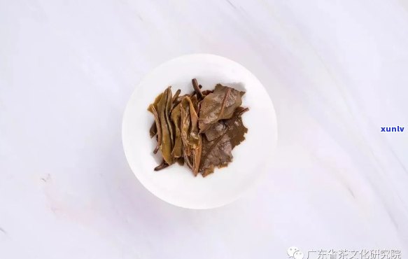 勐库氏普洱茶旗舰店1974:品质、历与文化的综合体验