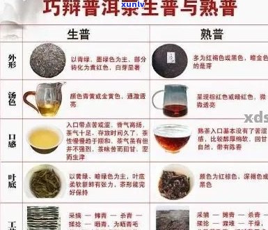 原来的普洱茶有啥用处：探究其独特价值与功效