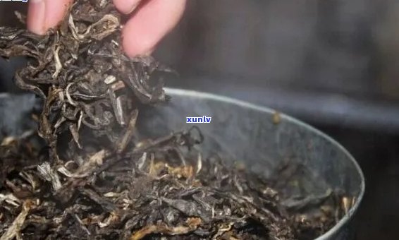 新 '探索普洱茶 *** 工艺：有做旧的痕迹吗？'