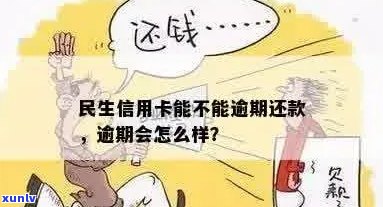 民生信用卡逾期情况分析：你是否有未还款？