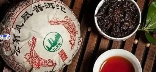 从产地到品味：探索普洱茶的全方位解析与品鉴指南