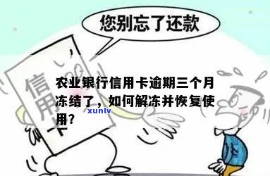 农行信用卡逾期3个月后如何申请解冻和重新开通？