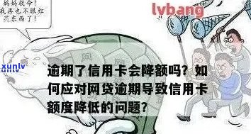 信用卡逾期风险：当您的信用卡欠款累积过多，可能会产生哪些后果？