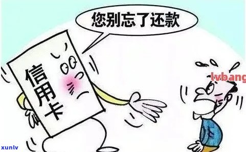 信用卡逾期：家人无法提供帮助？这里有全面的解决方案！