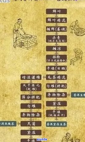 探究普洱茶 *** 的纯净之道：从选材到冲泡全方位解析