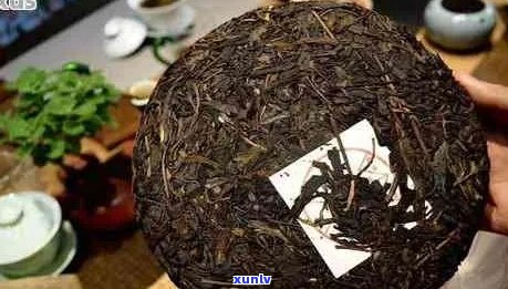 普洱茶中的絮絮：了解其来源、作用与影响，如何避免饮用时的困扰