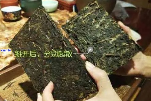 如何轻松掰开普洱茶小方块？