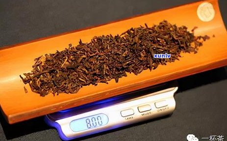 如何轻松掰开普洱茶小方块：实用技巧和工具推荐