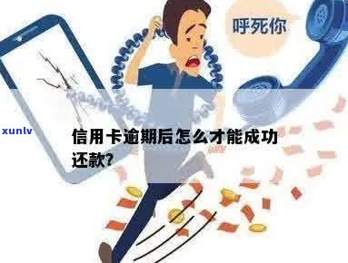 逾期还款后，如何成功主动偿还信用卡债务长达数年的经验分享