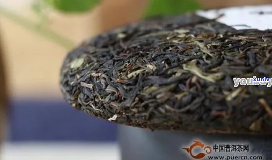 四川普洱茶品种全面解析：哪种普洱茶最适合你？