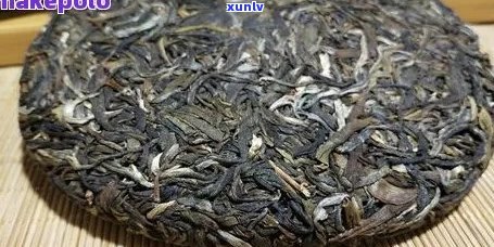 四川普洱茶品种全面解析：哪种普洱茶最适合你？