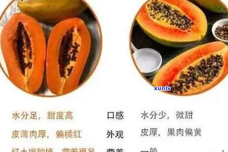 生木瓜煮生普洱茶能喝吗： 百度百科揭示的功效与作用