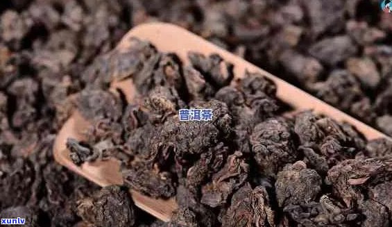 痰多症状下的普洱茶饮用指南：如何利用熟普洱茶有效缓解？