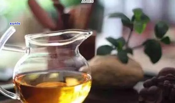 痰多症状下的普洱茶饮用指南：如何利用熟普洱茶有效缓解？