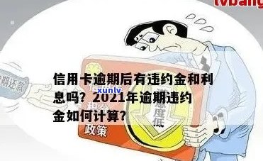 2021年信用卡逾期违约金全解析：计算 *** 、影响及如何避免高额债务