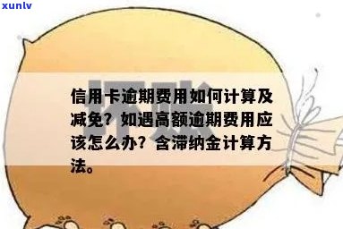 信用卡逾期滞纳金减免与计算 *** ，更低收取比例为信用卡。