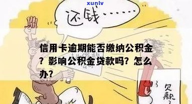 信用卡逾期公积金无法贷款怎么办？