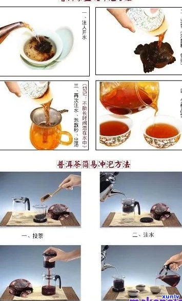 普洱茶的12种喝法