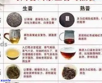 探索云南昊茗普洱茶：品质、口感、功效与购买指南，解答您所有疑问