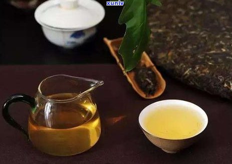 新探究普洱茶王茶的价格及品质，了解其市场定位及消费者群体