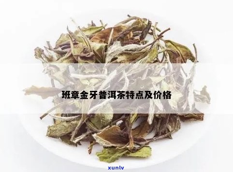 金牙普洱和老茶头哪个好？普洱茶金牙是什么意思？多少钱？