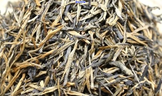 金牙普洱和老茶头哪个好？普洱茶金牙是什么意思？多少钱？