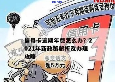 2021年信用卡逾期最新政策全解析：规定、通知及查询方式