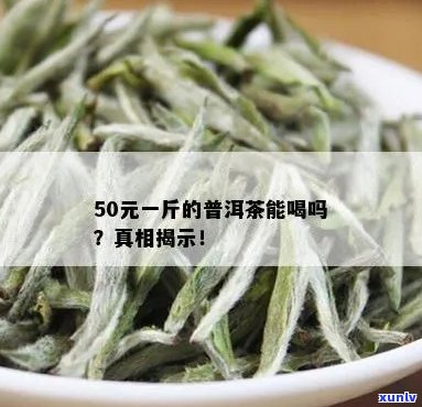 50元一斤的普洱茶能喝吗？有无？五六十及几十元一斤的普洱茶可饮用吗？