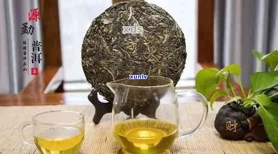 老普洱可以煮着喝吗？怎么煮？功效是什么？普洱茶老茶能喝吗？