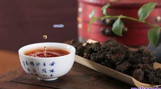 老普洱可以煮着喝吗？怎么煮？功效是什么？普洱茶老茶能喝吗？