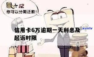 信用卡6万逾期一天多少钱——逾期利息、起诉时长及判刑问题全解析