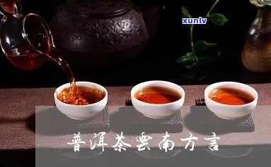 普洱茶上海话怎么念：探索云南茶叶在沪语中的发音方式