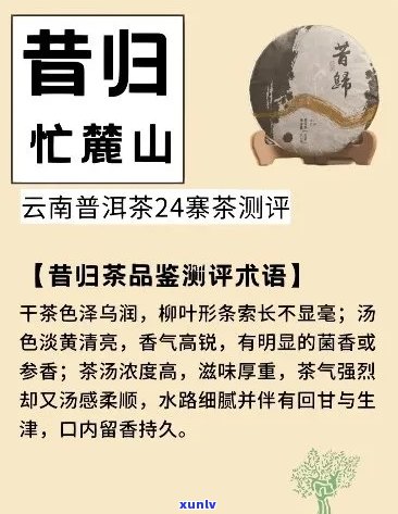 普洱茶上海话怎么念：探索云南茶叶在沪语中的发音方式