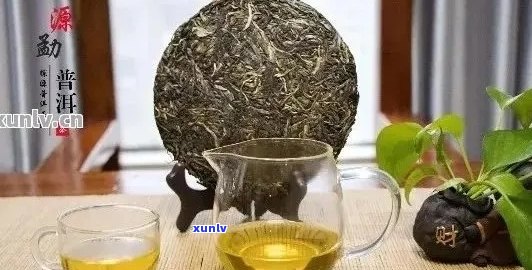 上海普洱茶：品种、品质、冲泡 *** 与品鉴技巧 - 一份全面指南