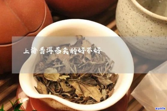 普洱茶上海话怎么念