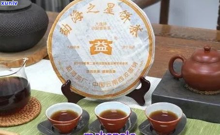 云南奢益普洱茶厂官网及价格，了解云南奢益普洱茶厂怎么样和排名情况