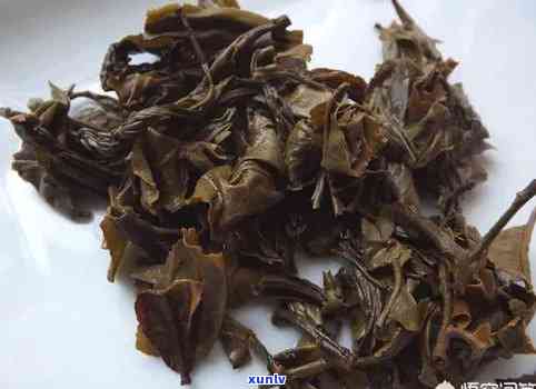 普洱茶渣可以养花吗？有吗？可以用来种花吗？