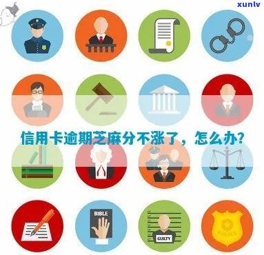 芝麻分逾期和信用卡：影响、申请及消除