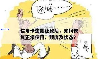 信用卡逾期后多久能恢复正常状态？