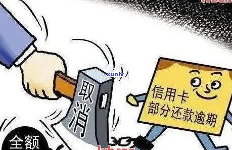 闪银分期信用卡逾期处理办法：后果及应对策略